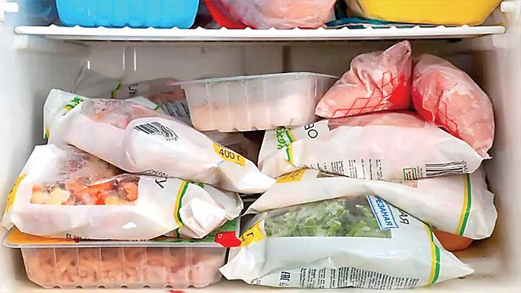 خوراک کو منجمد کرنے کا تصور کیسے شروع ہوا، جانئے 