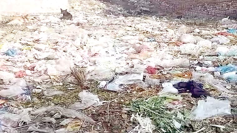 پنڈی بھٹیاں:اندرون شہر گلیاں بازار کچرا کنڈی میں تبدیل،سیوریج کا پانی جمع 