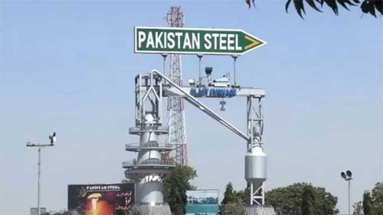  سٹیل ملز کے کل اثاثہ جات کی مالیت 828ارب ہے ، حکومت 
