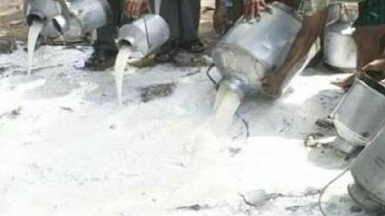 فوڈ اتھارٹیز کی کارروائی ،2500لٹر ملاوٹی دودھ تلف 