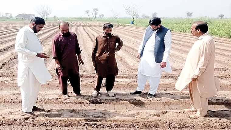 محکمہ زراعت کی اگیتی کپاس کی کاشت کی آگاہی مہم جاری