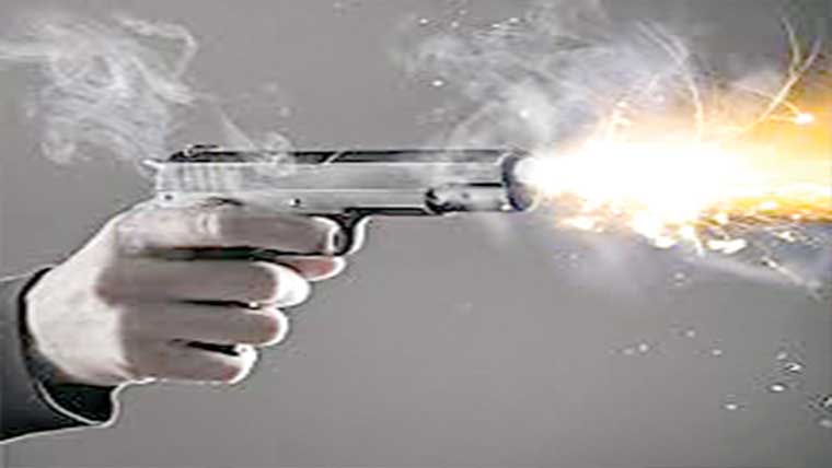  اسلحہ کی نمائش کر نے والا پکڑا گیا