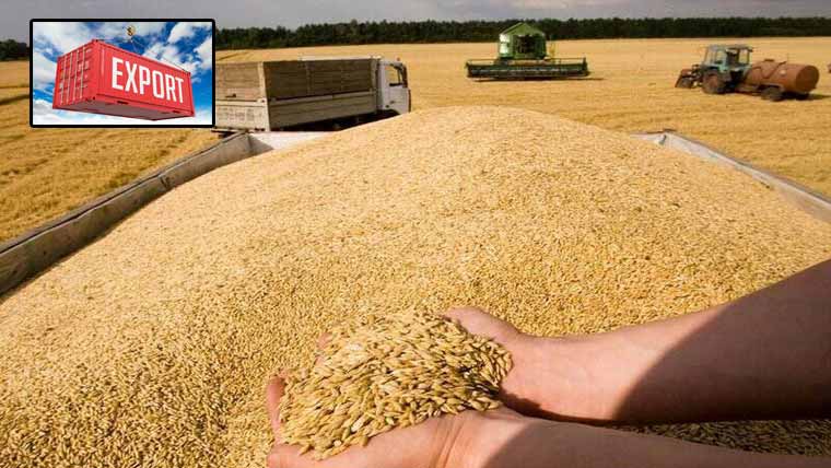 ایران کو روسی اناج کی برآمد بحال 