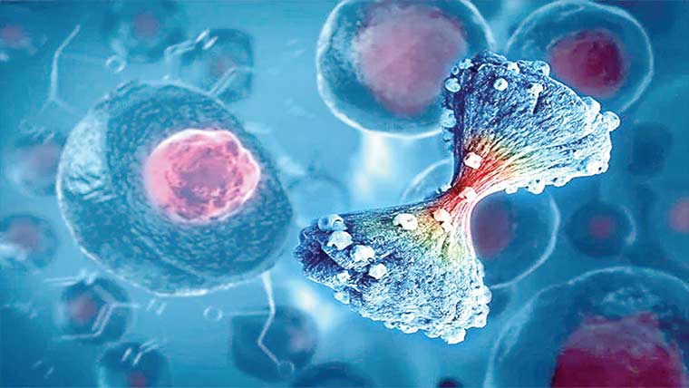 کینسر کے پھیلاؤ کی پیشگوئی کرنے والا نیا اے آئی نظام تیار