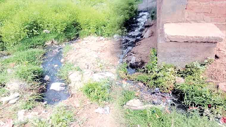  سکندر کالونی میں گندا پانی جوہڑ کی شکل اختیار کر گیا 