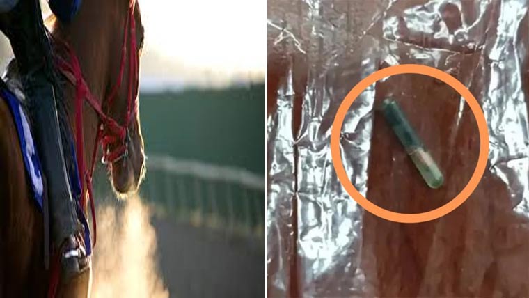 مائیکروچپ سے ریس کی  گھوڑی ذبح کرنیکا راز کھل گیا