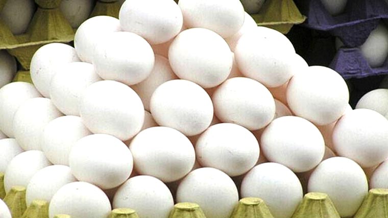 200روپے درجن پر مستحکم 