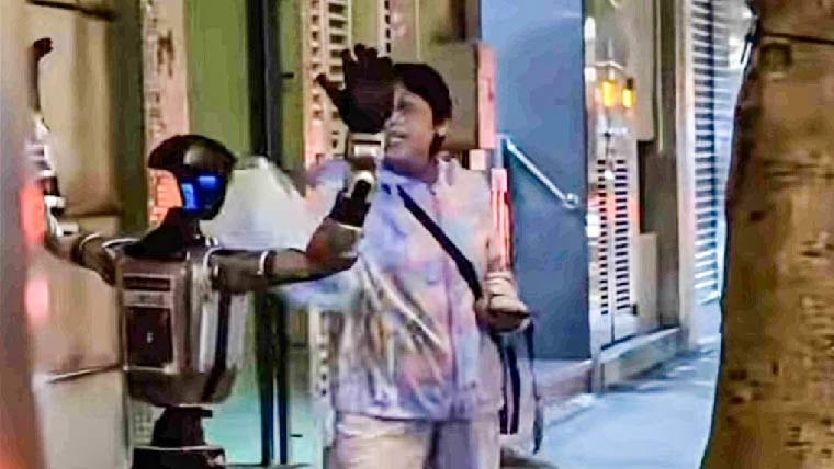 چین،بزرگ خاتون کو ڈرانے والا انسان نما روبوٹ گرفتار