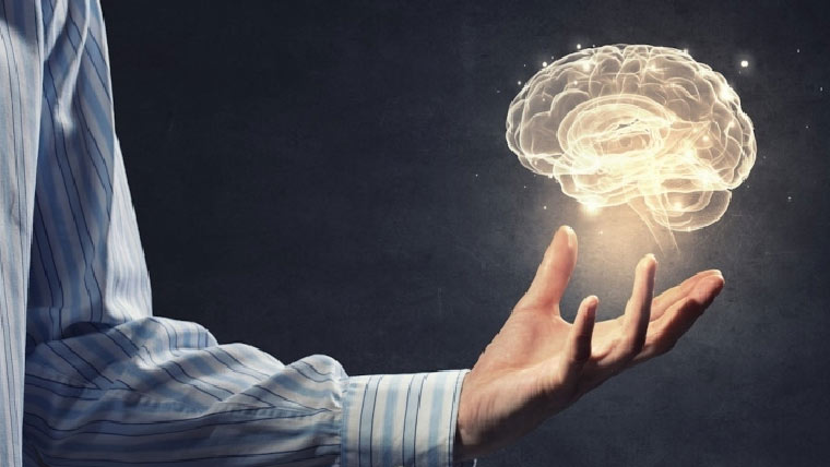 معدے اور یادداشت کے درمیان حیران کن تعلق دریافت