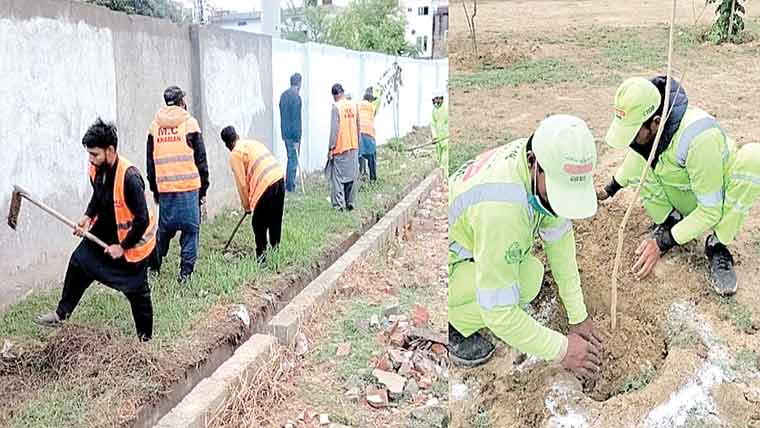 جی ٹی روڈ پر میونسپل کمیٹی کھاریاں  کی جانب سے جاری شجرکاری 