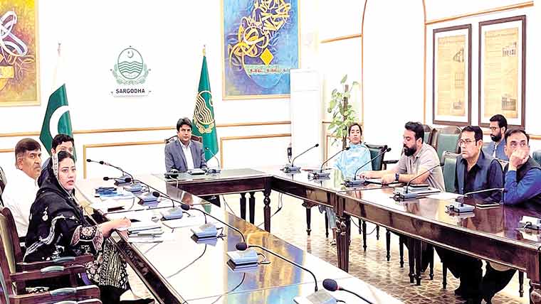  انہار کے محکموں کی جانب سے پیش ترقیاتی سکیموں پر تفصیلی غور 