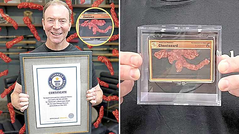 چیٹو کی شکل کا پوکیمون چیزرڈ ریکارڈ قیمت میں نیلام