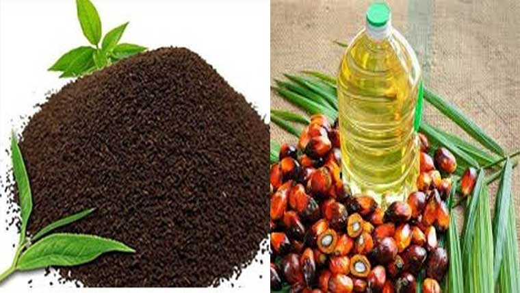  چائے اورپام آئل  کی درآمدات میں اضافہ