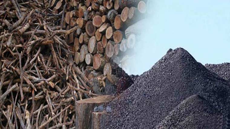 نئی دہلی کے مکین لکڑی  و کوئلہ استعمال کرنے پر مجبور
