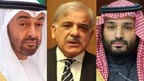 شہباز شریف کا سعودی ولی  عہد اور  امیر قطر سے رابطہ