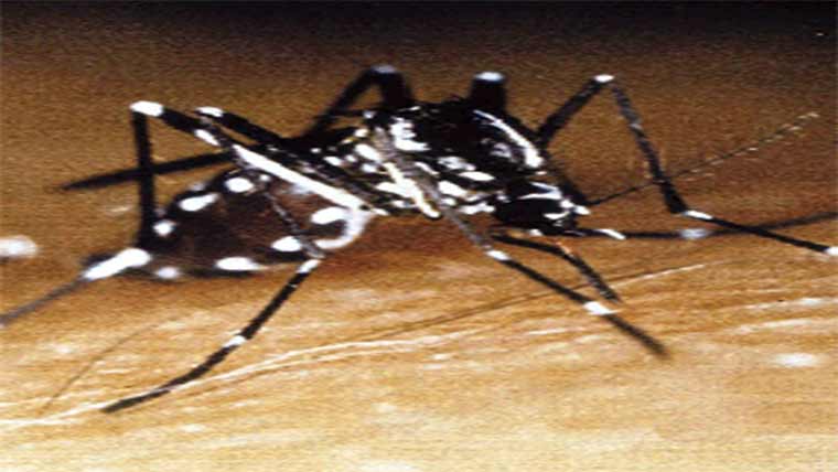  لاروا سائٹس مالکان کیخلاف مقدمات 