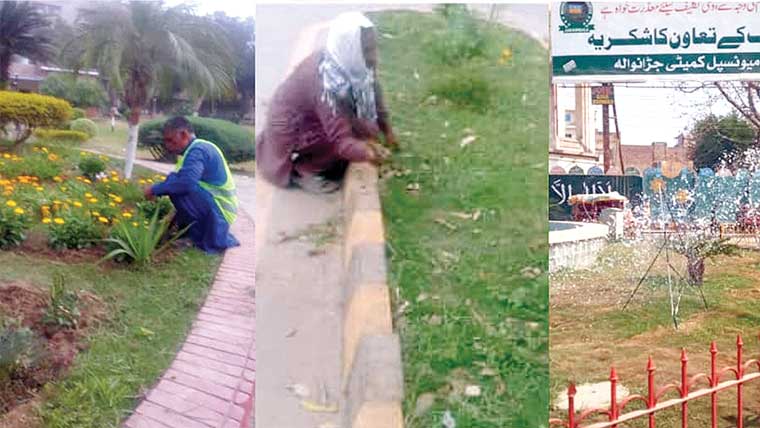 جڑانوالہ میں شجرکاری و سجاوٹ  مہم کا آغاز کر دیا گیا 