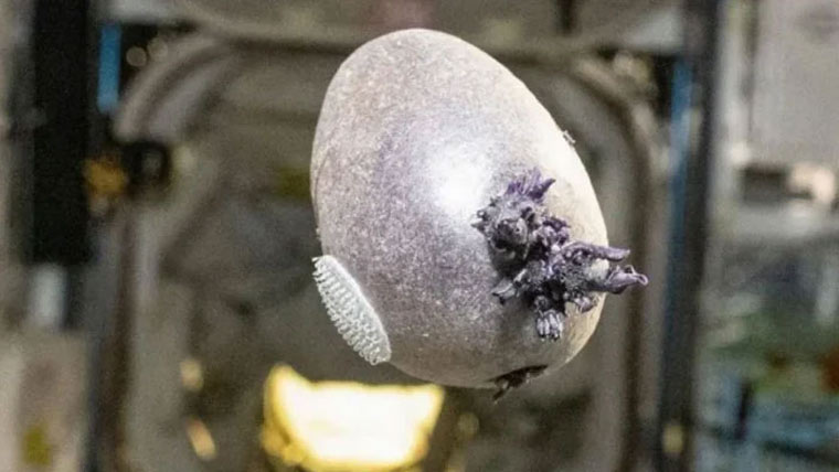 خلاء باز کی تصویر کا حیران کن انکشاف، حقیقت کیا ہے