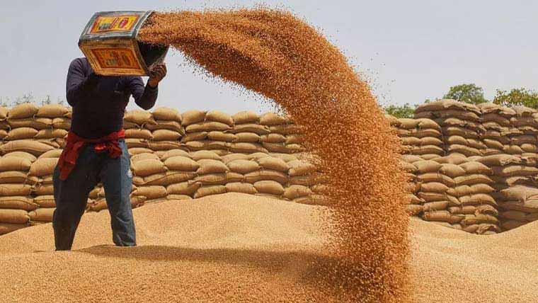 پنجاب  حکومت  اپریل  کے  پہلے   ہفتے  سے   گندم  خریداری  شروع  کریگی