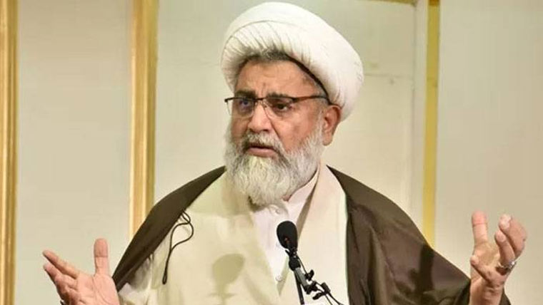 حکومت بھی چاہتی ہے کوئی درمیانی راستہ نکلے :ناصرعباس