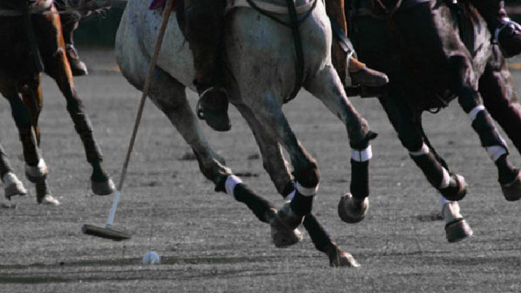  پولو سپر لیگ: ایکوسٹار پولو ٹیم نائٹس  نے ڈائمنڈ پینٹس کوبراز کو ہرا دیا