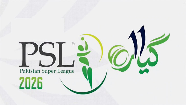  فینز کے بغیر پی ایس ایل ادھوری : فرنچائز مالکان 