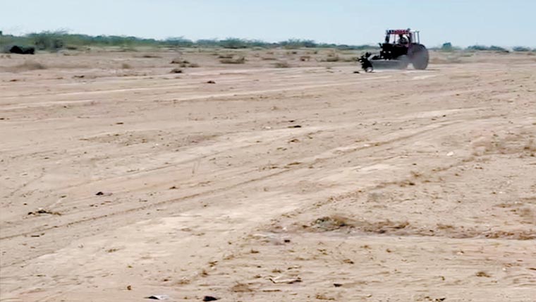 ناردرن بائی پاس پر ایشیا کی سب سے بڑی مویشی منڈی کی تیاریاں