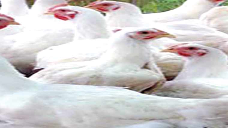 مزید4روپے مہنگا،595کاکلو