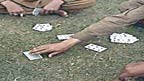  13 جواریوں کو گرفتار کر لیا