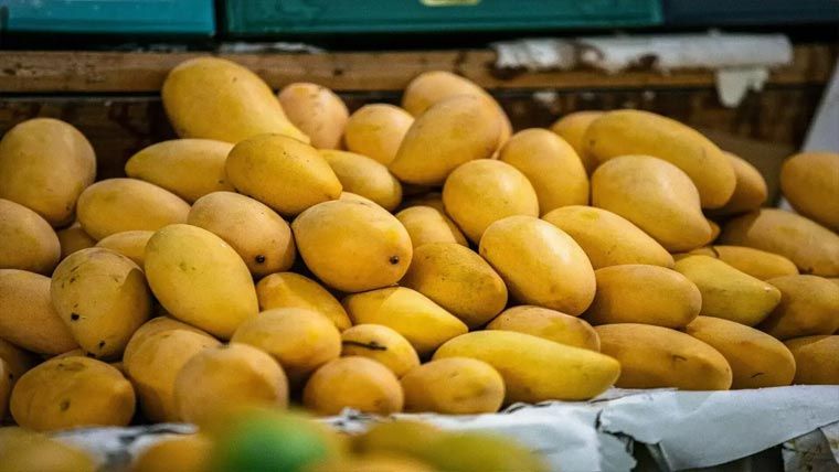  جون سے آم کی برآمدات کے فیصلے پر ایکسپورٹرز کے تحفظات