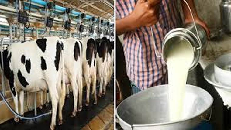  دودھ کی پیداوار میں 82 فیصد اضافہ ریکارڈ