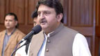پاکستان نے خطے میں امن کے قیام  میں کلیدی کردار ادا کیا:ملک احمد