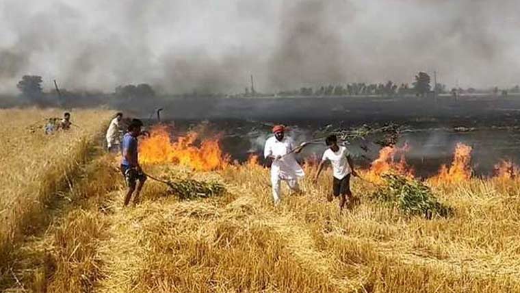 ننکانہ:گندم باقیات جلانے کے  واقعات پرایمرجنسی سروس کا اجلاس 