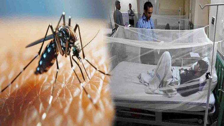 پنجاب :کیسز میں اضافہ ، ڈینگی کے 22 مریض رپورٹ 