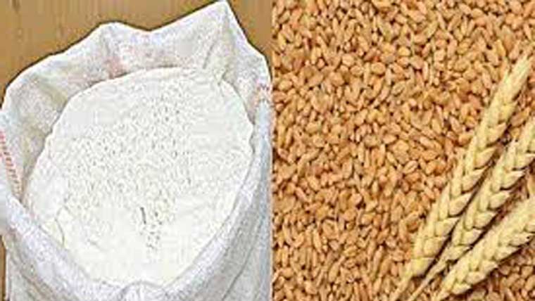 گندم مہنگی، شہر میں آٹے کا بحران، 10 اور 20 کلو تھیلے مارکیٹ سے غائب 