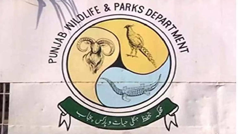 وائلڈلائف :غیرقانونی  شکارپر چار ملزم گرفتار