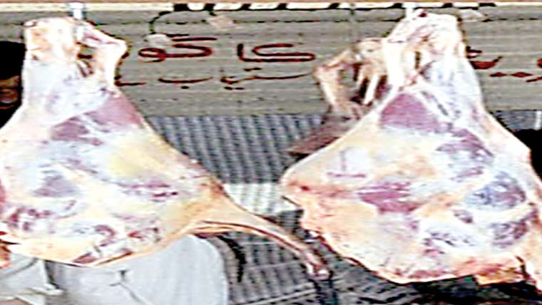 300کلو ناقص گوشت تلف 