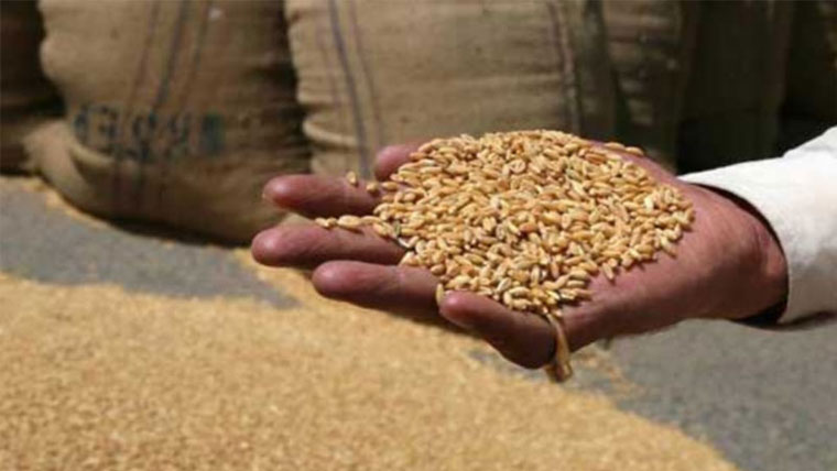 وارداتوں میں شہری 10من  گندم ،قیمتی اشیاسے محروم