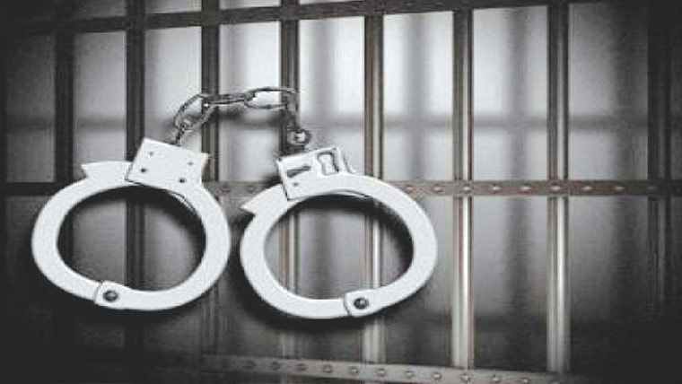 اسٹریٹ کرائم کاملزم گرفتار