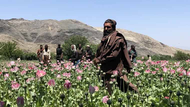 افغانستان :پوست کے کھیتوں کی  تلفی پر جھڑپیں، 2افراد ہلاک