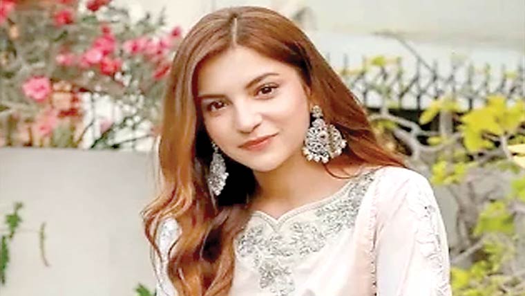 محبت کے لیے کیریئر قربان  نہیں کرسکتی:دنانیر مبین