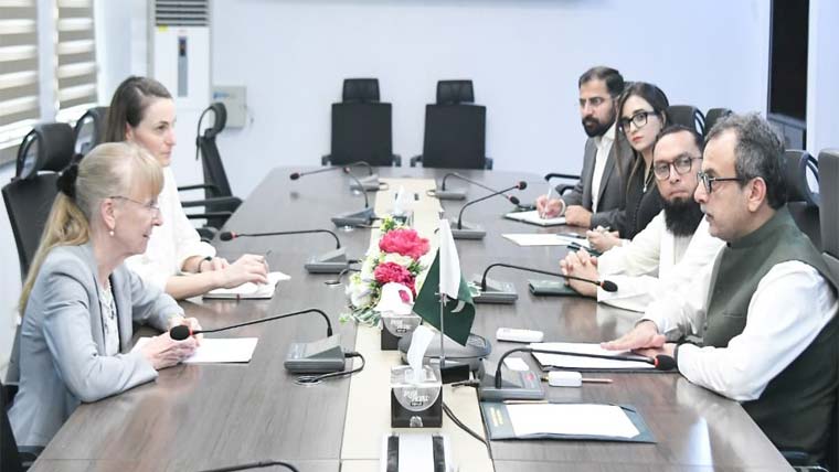 اویس لغاری ، جرمن سفیر ملاقات، توانائی شعبے میں تعاون پر اتفاق