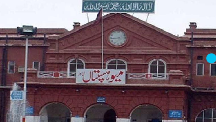 میوہسپتال :آوارہ کتے کے کاٹنے سے مزید ایک مریض چل بسا