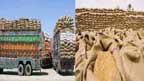 سرچ پارک چشمہ کی کاروائی500 گٹو گندم سمگلنگ کی کوشش 