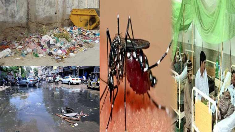  گندگی ، خراب سیوریج سسٹم ، مختلف علاقوں میں ملیر یا کے ساتھ ڈینگی کیسز بھی بڑھنے لگے