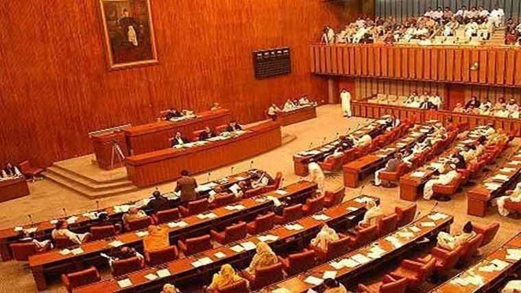 سینیٹ:پاکستان  نرسنگ  کونسل ،سپیشل  اقتصادی  زونز  ترمیمی  بلز  منظور