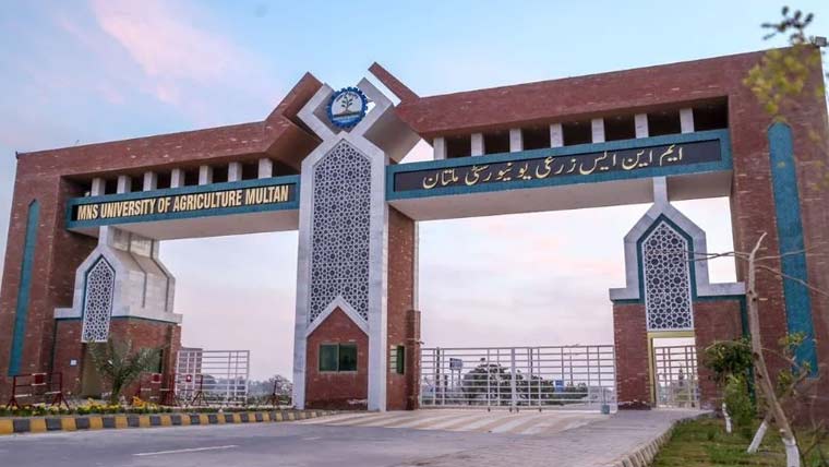 نئے ڈگری پروگرامز،نصابی  ترامیم بارے سفارشات پیش