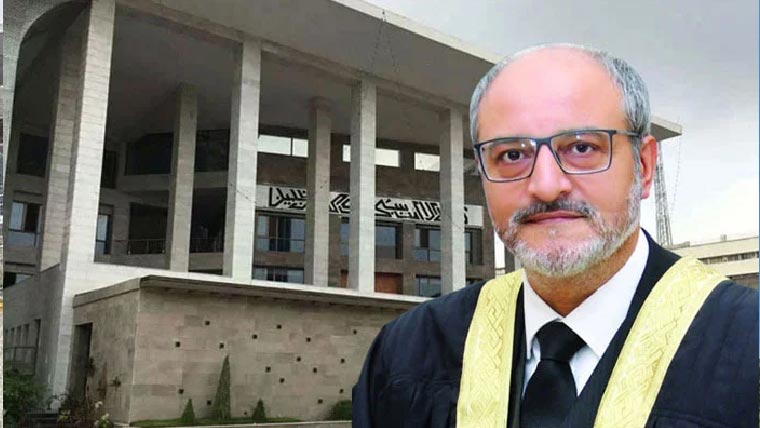 ہائیکورٹ :قائم مقام چیئرمین این آئی آرسی کی تعیناتی کیلئے دوروز کاوقت