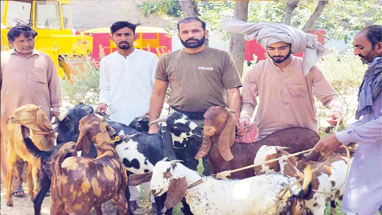 چوری شدہ 9 بکرے  برآمد ،ملزمان فرار 