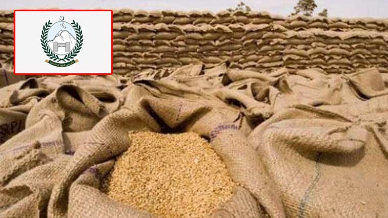  پختونخوا کا زمینداروں سے  سوا 2 لاکھ ٹن گندم خریدنے کا اعلان